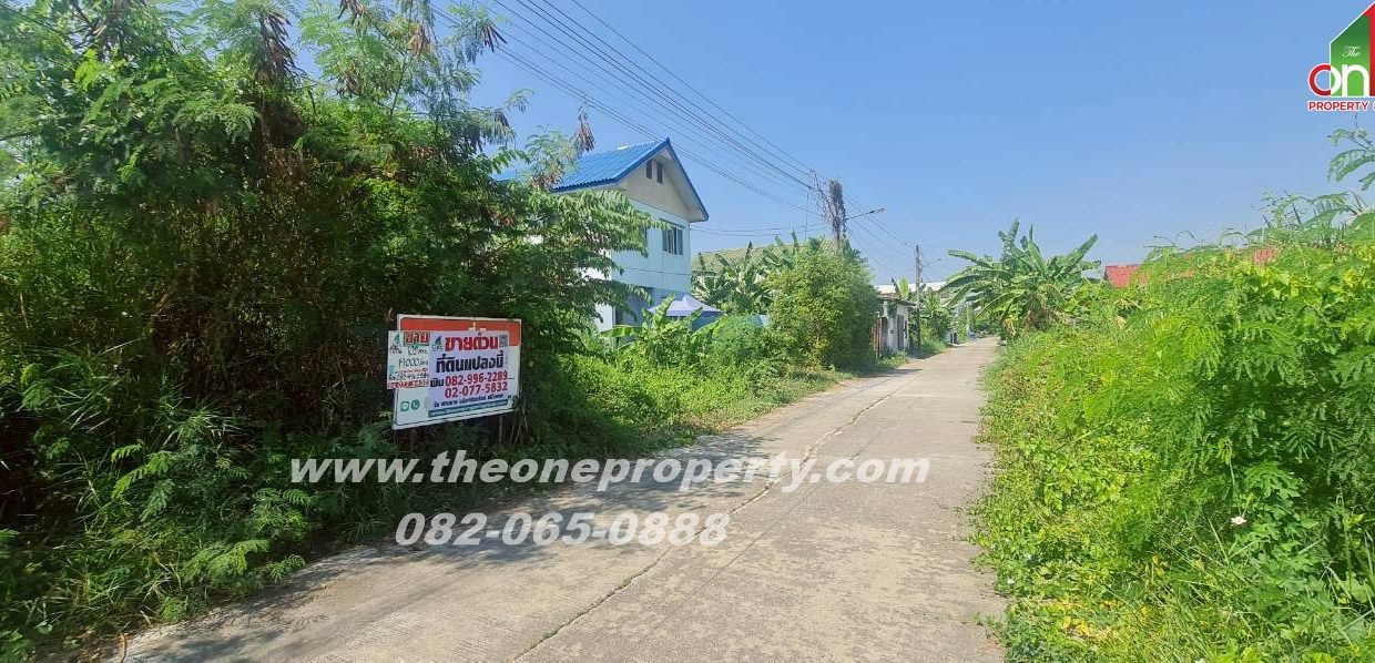 LINE_ALBUM_AD31165ที่ดิน ศาลายา_260304_1