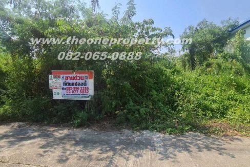 LINE_ALBUM_AD31165ที่ดิน ศาลายา_260304_2