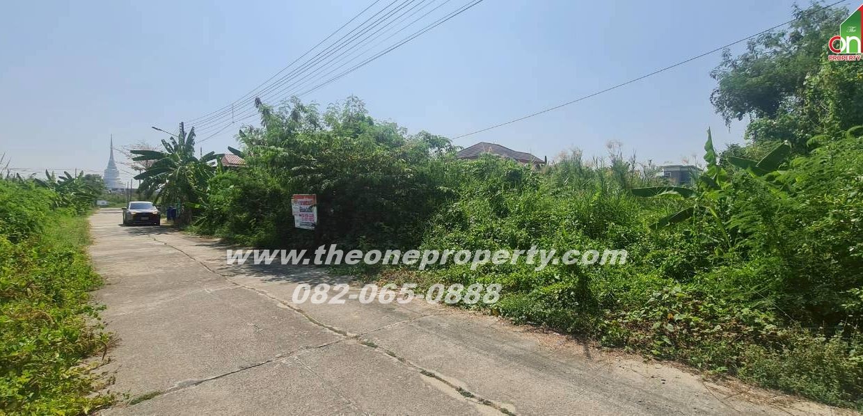 LINE_ALBUM_AD31165ที่ดิน ศาลายา_260304_3