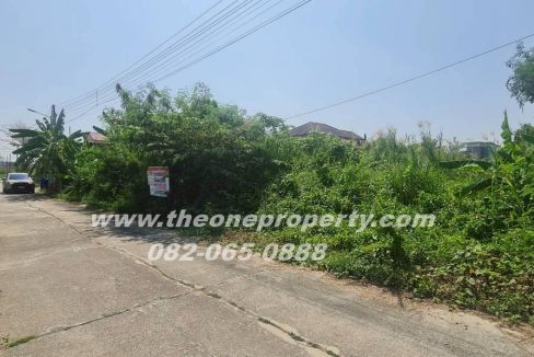 LINE_ALBUM_AD31165ที่ดิน ศาลายา_260304_3