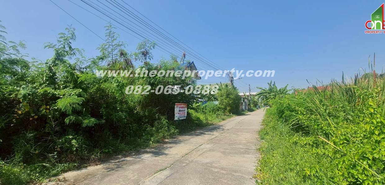 LINE_ALBUM_AD31165ที่ดิน ศาลายา_260304_5