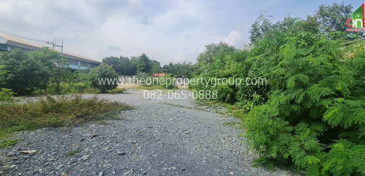 LINE_ALBUM_A1484เช่า ที่ดิน540 อ้อมน้อย_251119_8