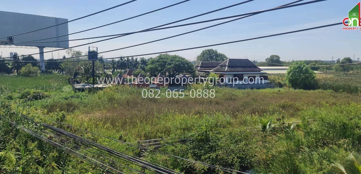 LINE_ALBUM_ที่ดิน 3ไร่กว่า นครชัยศรี_251215_21