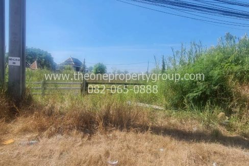 LINE_ALBUM_ที่ดิน 3ไร่กว่า นครชัยศรี_251215_27