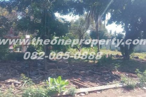 LINE_ALBUM_A1825 LD ลาดปลาเค้า 45_260118_7