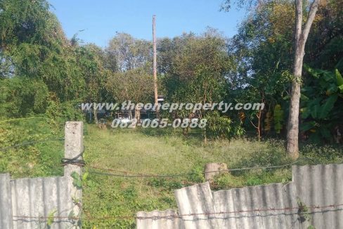 LINE_ALBUM_A1829 ที่ดิน ซ.เพชรเกษม 78(ชูสังข์ 88)_260125_1