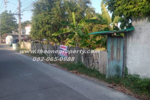 LINE_ALBUM_A1829 ที่ดิน ซ.เพชรเกษม 78(ชูสังข์ 88)_260125_10