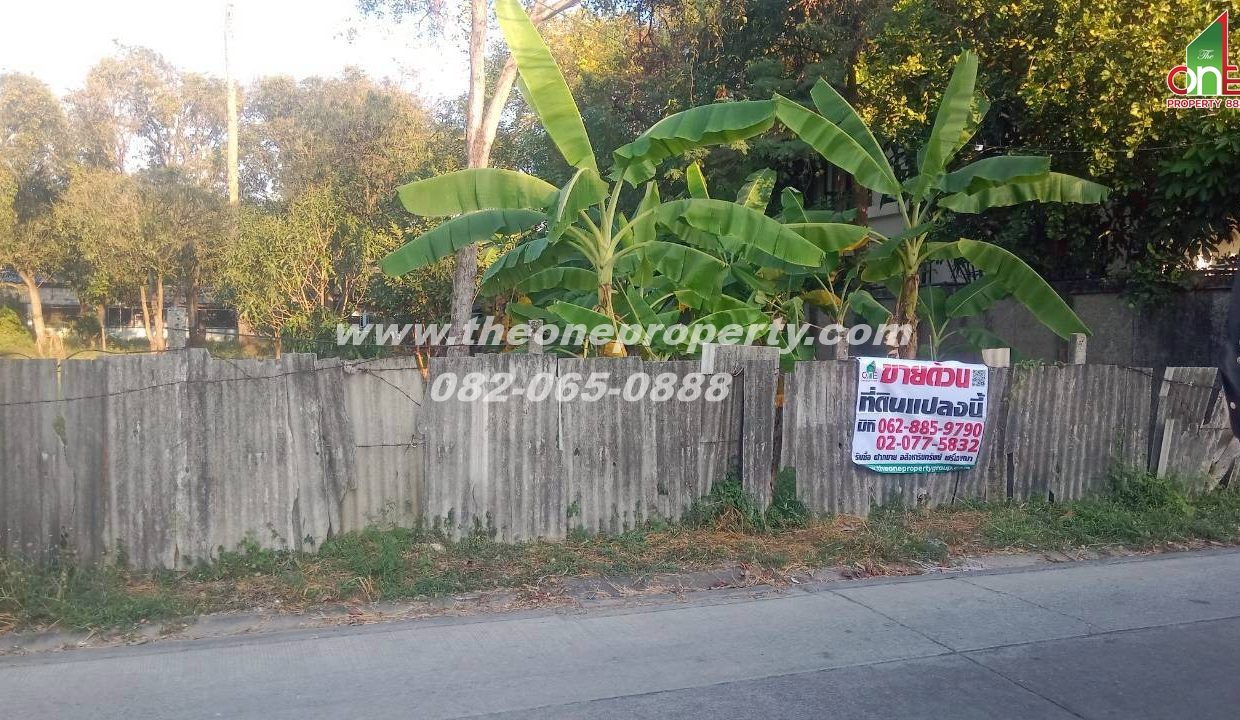 LINE_ALBUM_A1829 ที่ดิน ซ.เพชรเกษม 78(ชูสังข์ 88)_260125_11