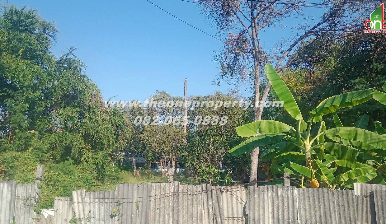 LINE_ALBUM_A1829 ที่ดิน ซ.เพชรเกษม 78(ชูสังข์ 88)_260125_2