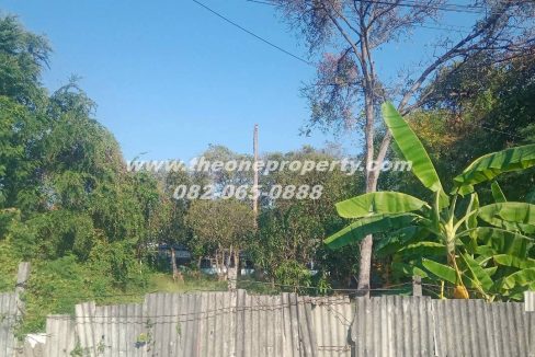 LINE_ALBUM_A1829 ที่ดิน ซ.เพชรเกษม 78(ชูสังข์ 88)_260125_2