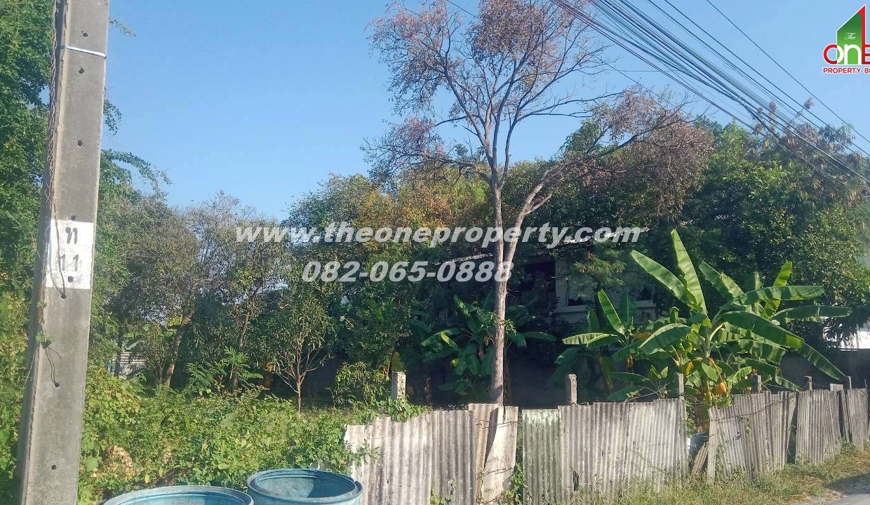 LINE_ALBUM_A1829 ที่ดิน ซ.เพชรเกษม 78(ชูสังข์ 88)_260125_3