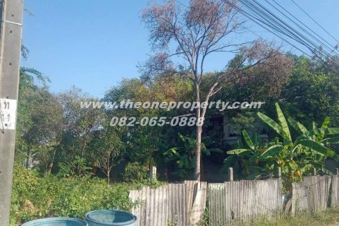 LINE_ALBUM_A1829 ที่ดิน ซ.เพชรเกษม 78(ชูสังข์ 88)_260125_3