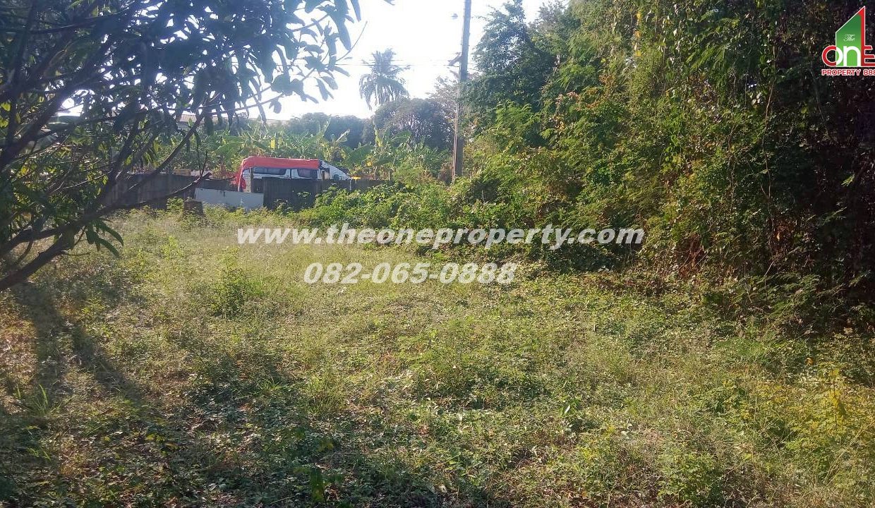 LINE_ALBUM_A1829 ที่ดิน ซ.เพชรเกษม 78(ชูสังข์ 88)_260125_4