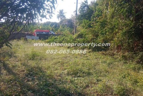 LINE_ALBUM_A1829 ที่ดิน ซ.เพชรเกษม 78(ชูสังข์ 88)_260125_4