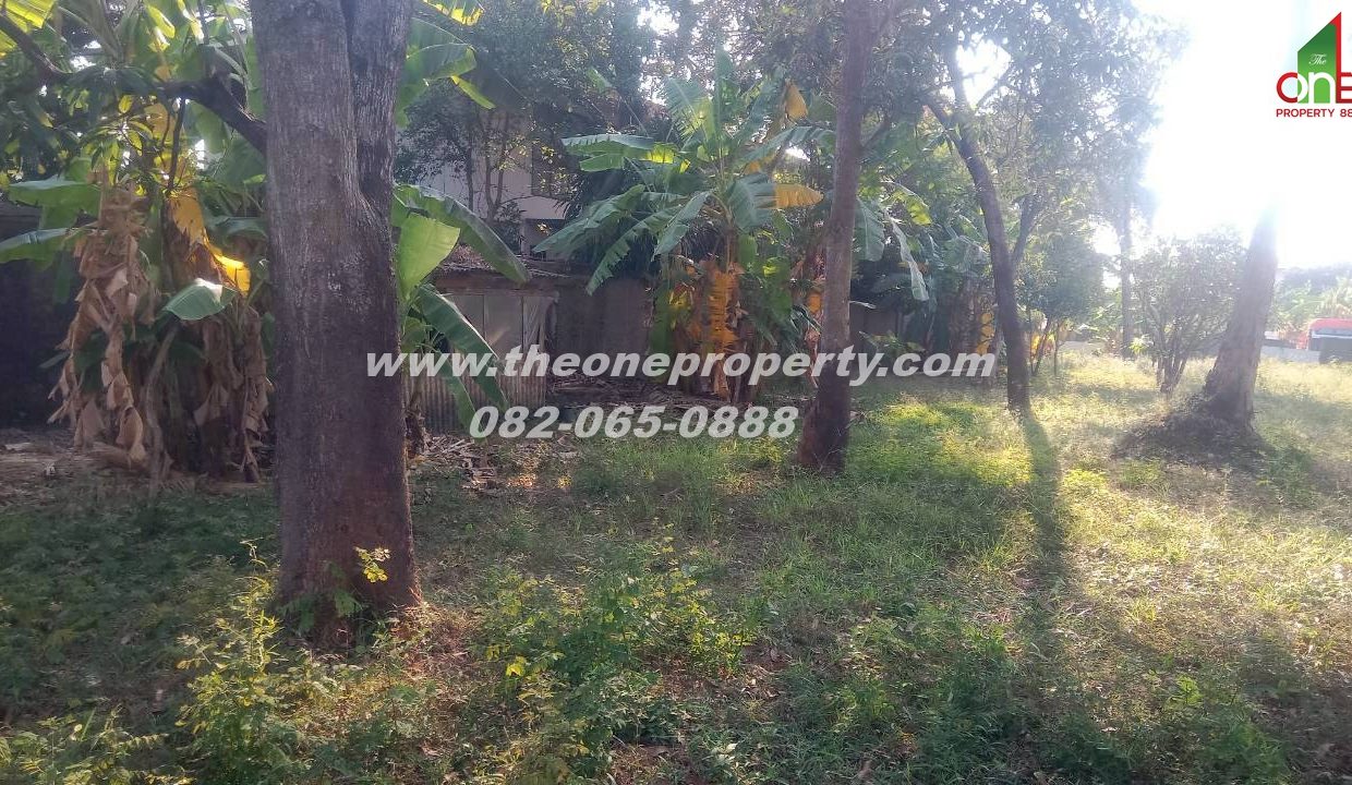 LINE_ALBUM_A1829 ที่ดิน ซ.เพชรเกษม 78(ชูสังข์ 88)_260125_5