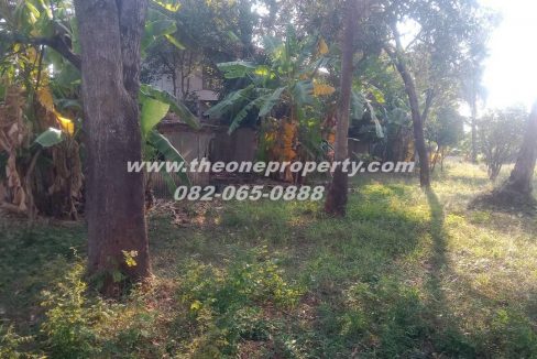 LINE_ALBUM_A1829 ที่ดิน ซ.เพชรเกษม 78(ชูสังข์ 88)_260125_5