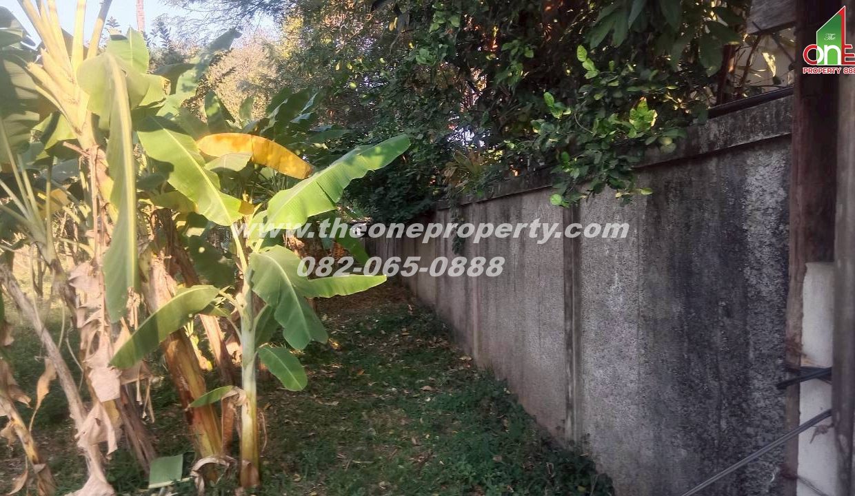 LINE_ALBUM_A1829 ที่ดิน ซ.เพชรเกษม 78(ชูสังข์ 88)_260125_7