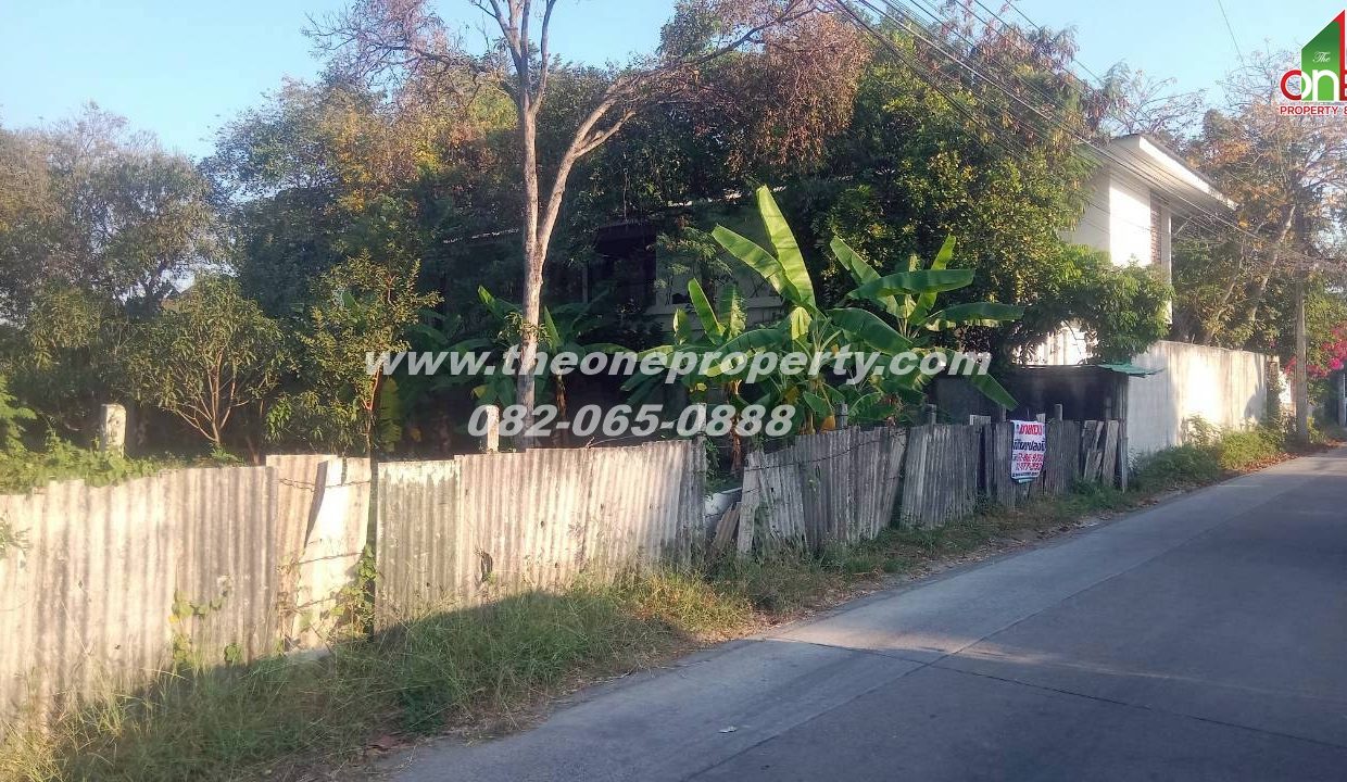 LINE_ALBUM_A1829 ที่ดิน ซ.เพชรเกษม 78(ชูสังข์ 88)_260125_8