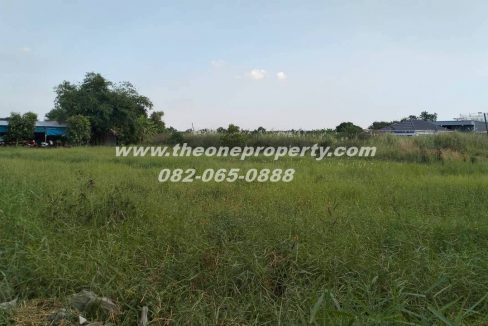 LINE_ALBUM_ที่ดินซอยสุสวาส22_260105_16