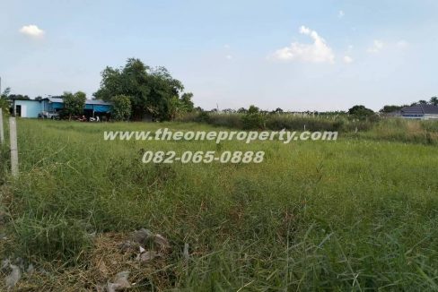 LINE_ALBUM_ที่ดินซอยสุสวาส22_260105_18