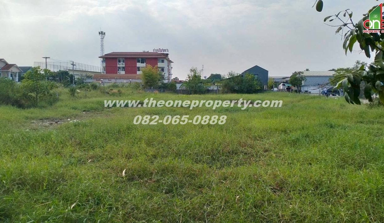 LINE_ALBUM_ที่ดินซอยสุสวาส22_260105_19