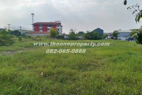 LINE_ALBUM_ที่ดินซอยสุสวาส22_260105_19