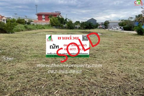 LINE_ALBUM_ที่ดินซอยสุสวาส22_260105_33