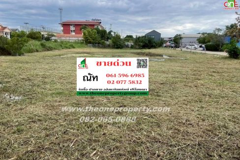 LINE_ALBUM_ที่ดินซอยสุสวาส22_260105_33