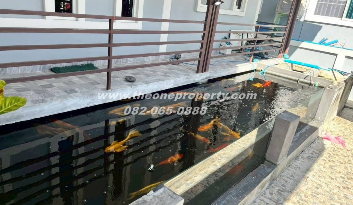 LINE_ALBUM_A1827 H คลองห้า_260217_16