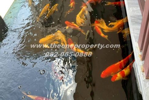 LINE_ALBUM_A1827 H คลองห้า_260217_17