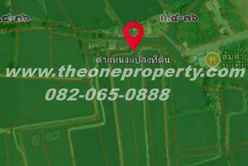 LINE_ALBUM_A1860ที่ดินบ่อกุ้ง_260217_6