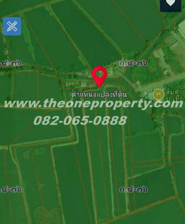 LINE_ALBUM_A1860ที่ดินบ่อกุ้ง_260217_6