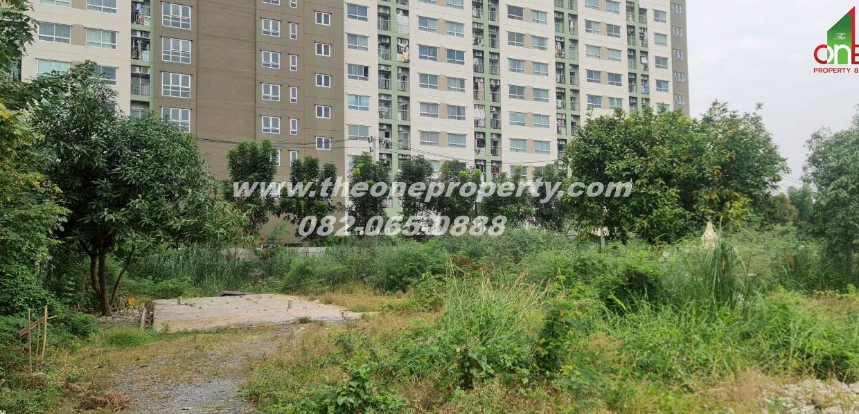 LINE_ALBUM_A1862ที่ดินซ.เพชรเกษม961_260217_2