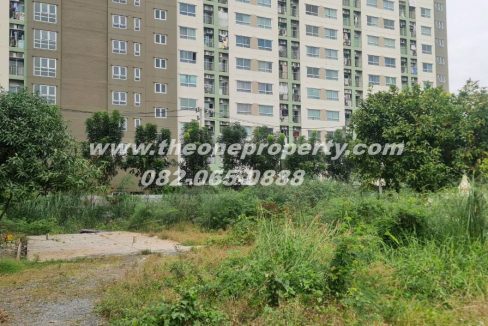 LINE_ALBUM_A1862ที่ดินซ.เพชรเกษม961_260217_2