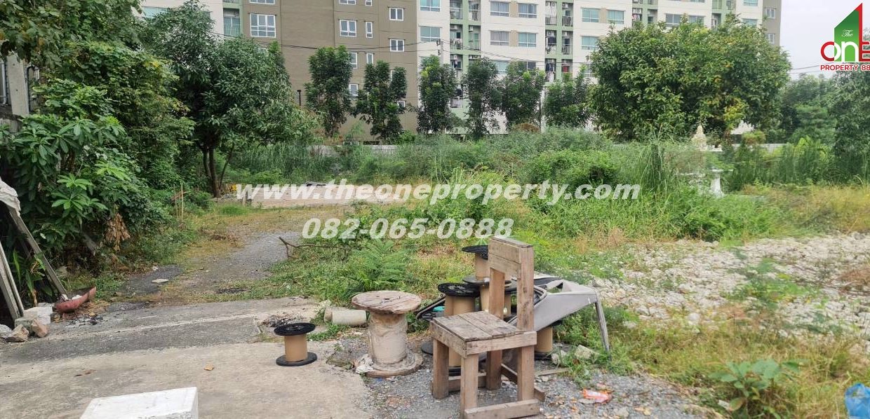 LINE_ALBUM_A1862ที่ดินซ.เพชรเกษม961_260217_3