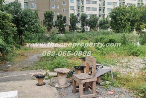 LINE_ALBUM_A1862ที่ดินซ.เพชรเกษม961_260217_3