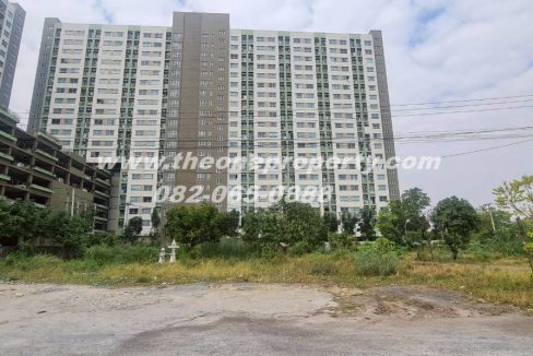 LINE_ALBUM_A1862ที่ดินซ.เพชรเกษม961_260217_5