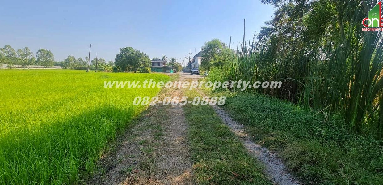 LINE_ALBUM_A1863ที่ดิน ลำลูกกา_260217_1