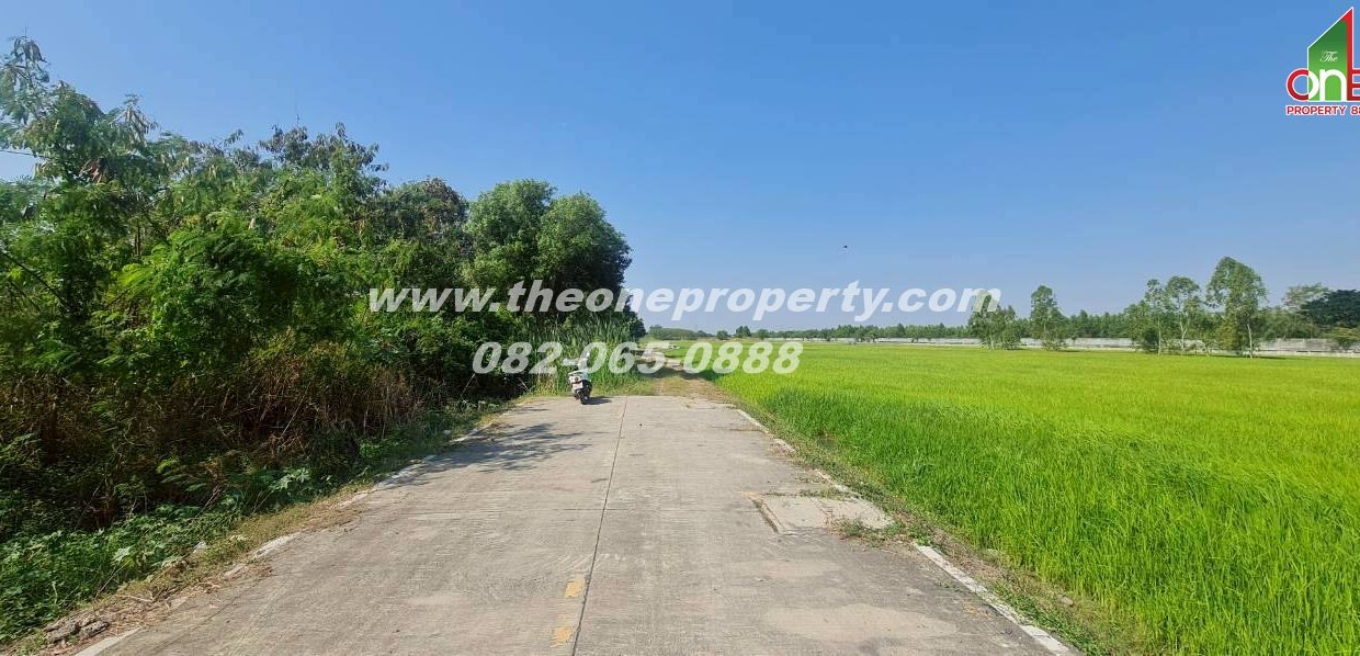 LINE_ALBUM_A1863ที่ดิน ลำลูกกา_260217_13