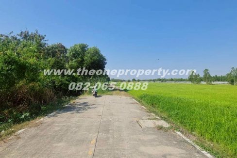 LINE_ALBUM_A1863ที่ดิน ลำลูกกา_260217_13