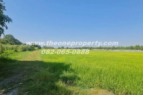 LINE_ALBUM_A1863ที่ดิน ลำลูกกา_260217_2