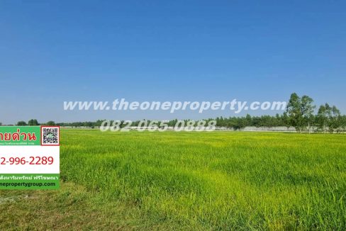 LINE_ALBUM_A1863ที่ดิน ลำลูกกา_260217_4