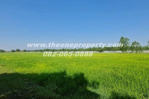 LINE_ALBUM_A1863ที่ดิน ลำลูกกา_260217_5