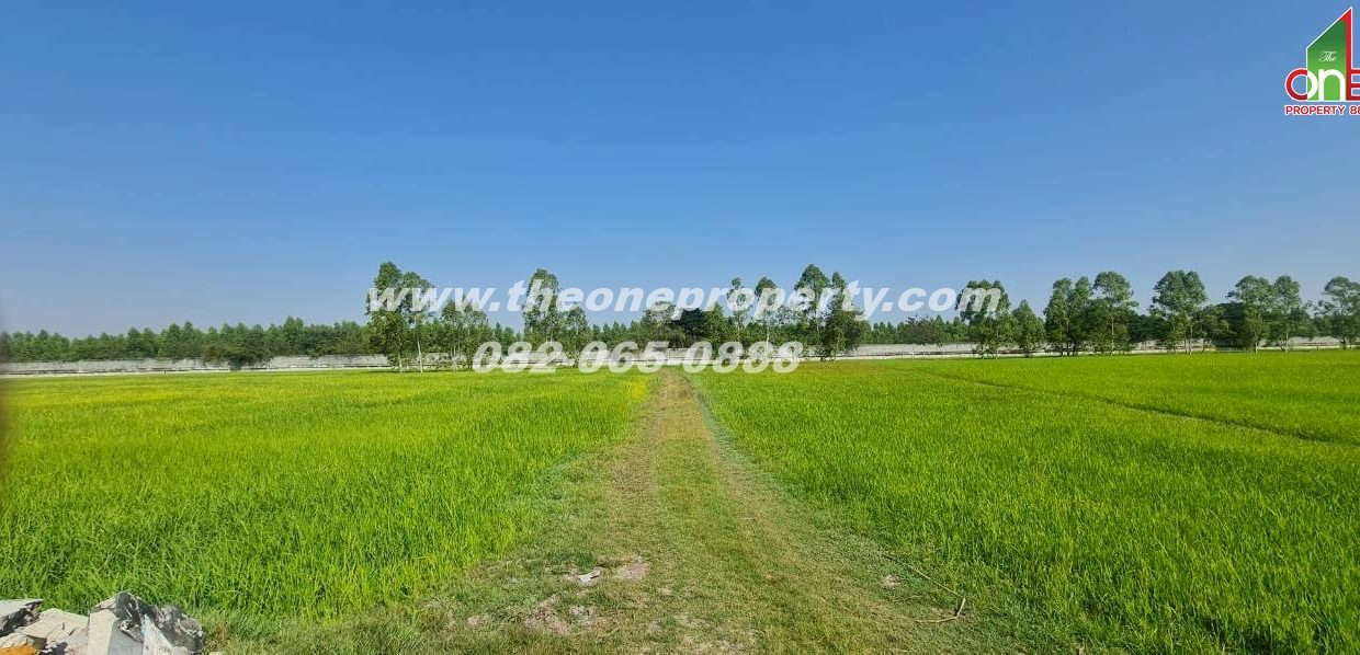 LINE_ALBUM_A1863ที่ดิน ลำลูกกา_260217_6