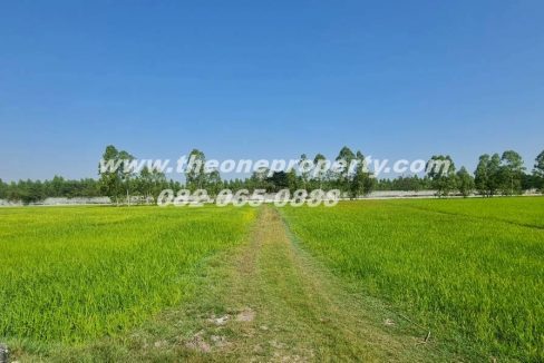 LINE_ALBUM_A1863ที่ดิน ลำลูกกา_260217_6