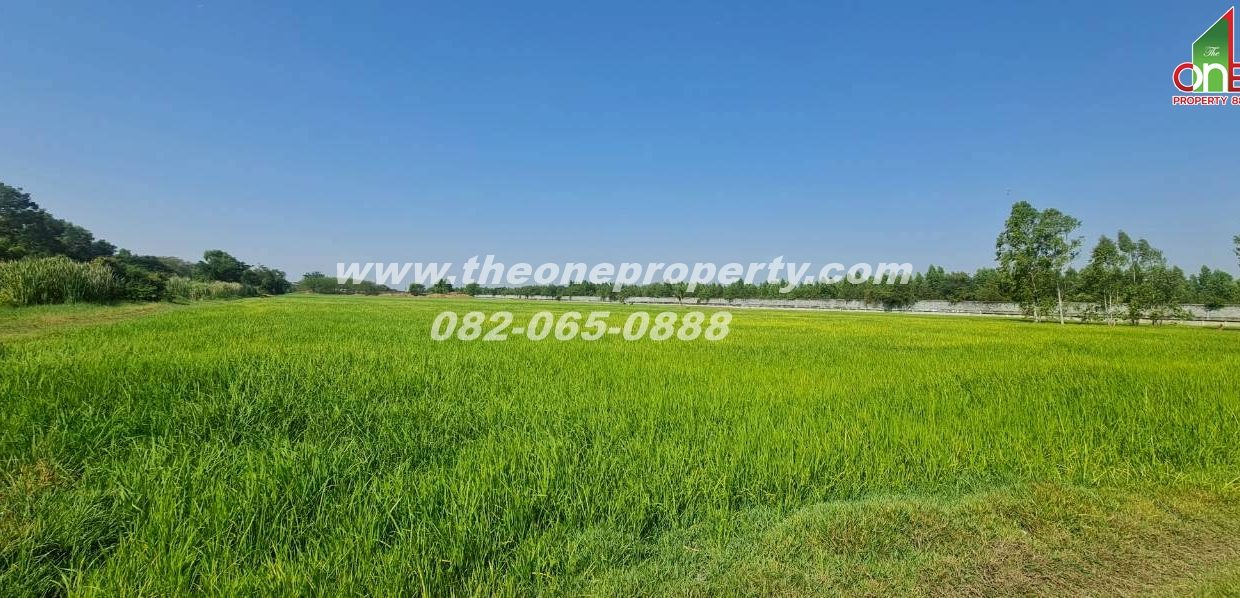 LINE_ALBUM_A1863ที่ดิน ลำลูกกา_260217_7