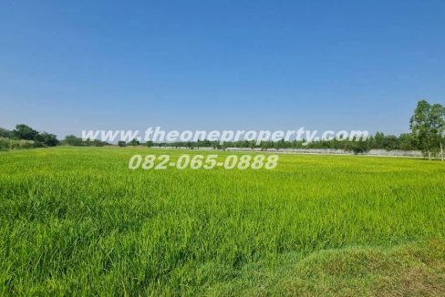 LINE_ALBUM_A1863ที่ดิน ลำลูกกา_260217_7