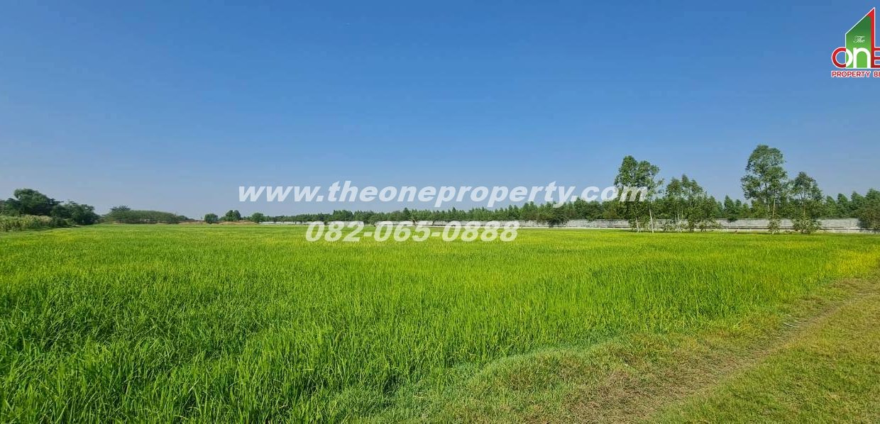 LINE_ALBUM_A1863ที่ดิน ลำลูกกา_260217_8