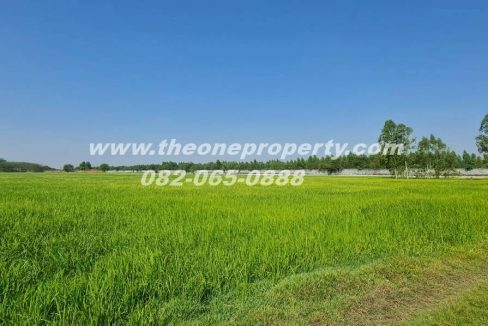 LINE_ALBUM_A1863ที่ดิน ลำลูกกา_260217_8