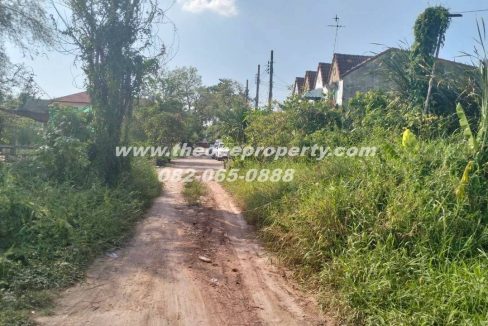 LINE_ALBUM_A1774วิภา70_260302_1